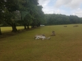 20180702_114046