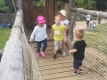 20180702_124613